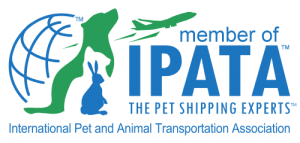IPATA Logo